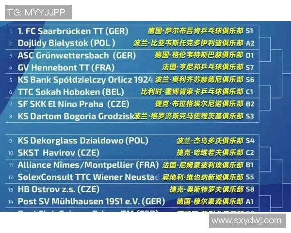 德国足球历史顶级球星排名解析与影响力评估 德国足球历史顶级球星排名解析与影响力评估