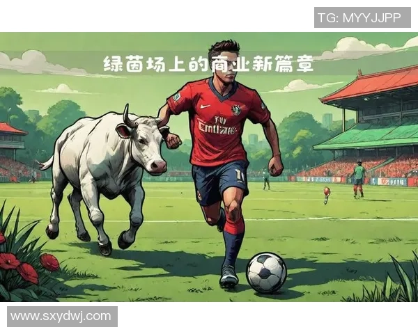 球星阵容演绎绿茵激情全面解析豪华球队战术与实力对比 球星阵容演绎绿茵激情全面解析豪华球队战术与实力对比