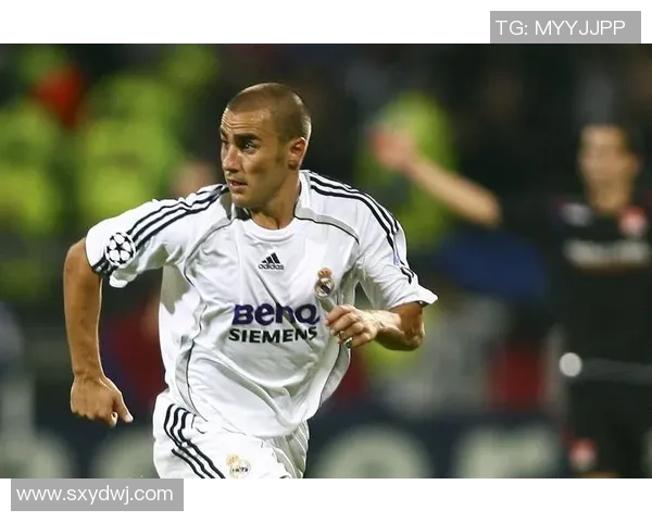 穿越绿茵岁月细数各国传奇足球巨星的辉煌与永恒魅力 穿越绿茵岁月细数各国传奇足球巨星的辉煌与永恒魅力