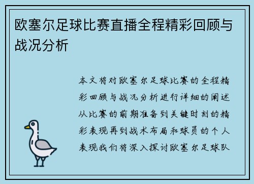 欧塞尔足球比赛直播全程精彩回顾与战况分析